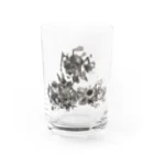 AM.0:00のトライデント Water Glass :front