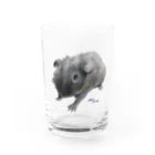 aNone sOnoneのスキニーギニアピッグ Water Glass :front