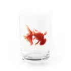 もんちの金魚 Water Glass :front