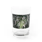 Gradually-storeのYUKIYANAGI Water Glass :front