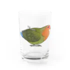 まめるりはことりのおすましコザクラインコ　きなこちゃん【まめるりはことり】 Water Glass :front