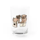 真奈美のこま犬 Water Glass :front