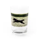 龍馬と紬の部屋の紬ちゃん Water Glass :front