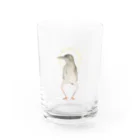 透月糖花のヨシゴイさん Water Glass :front