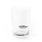 coro2mol2のゴマフアザラシ Water Glass :front