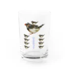 みるくま商店のきんかちょうラブ Water Glass :front