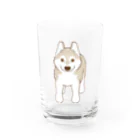  HUS×HUSのスタンダップハスキー2 Water Glass :front