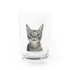 tegakiyaの狙う猫 Water Glass :front