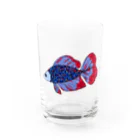 1994ys_chanのベタちゃん Water Glass :front