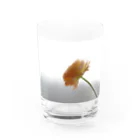 花と緑のラナンキュラス Water Glass :front