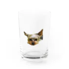 ayatan3939のヨーキー Water Glass :front