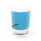 hawaiitaroハワイグッズショップのハワイドルフィン Water Glass :front