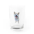 みよしみきのまめちゃん Water Glass :front