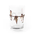 ソーメンズの有刺鉄線 Water Glass :front