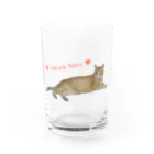 えみちーず（元野良と保護猫の為に🐾）のチャトラまったり🐾（さくら猫） Water Glass :front
