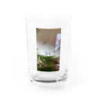 SoooAdorableのメダカ好き Water Glass :front