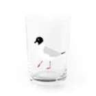 minatoriのズグロカモメ Water Glass :front