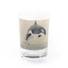 Ori-iro　イルカやシャチをお届け！のクーピーシャチ Water Glass :front