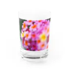 まいしょっぷマイユのぽすたらいずランタナ２ Water Glass :front