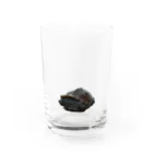 DNS PETのゼニガメのきん Water Glass :front