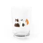 hippoのえなんちの猫たち（窓際cats） Water Glass :front