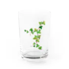 Ashidoriのアイビー Water Glass :front