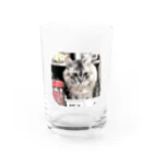 マロマロのMAROchan 入っちゃった Water Glass :front