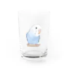 まめるりはことりのおしゃまな止まり木セキセイインコちゃん【まめるりはことり】 Water Glass :front