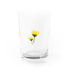 ｶﾝﾇのたんぽぽ Water Glass :front