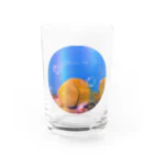 kunisakiokosunjarの国東おしり岩 Water Glass :front