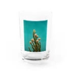 illairheadの腐海に生えている植物 Water Glass :front