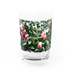 yawn shopの雪の花 Water Glass :front