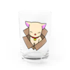 ほぼ動物園の箱入り娘（猫） Water Glass :front