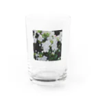 たもつの庭のしろい花 Water Glass :front