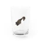 さかやさんの赤ちゃんらこ（タオル） Water Glass :front