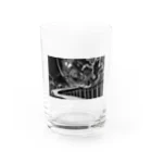 Kumibarcalow_のおるたなムーン Water Glass :front