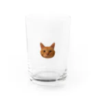 土管猫商店の茶トラぴっちゃん Water Glass :front