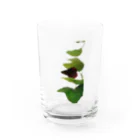 はっぴこの黒いベタ Water Glass :front