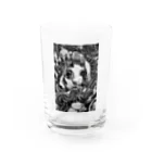 Kumibarcalow_のゴッド Water Glass :front