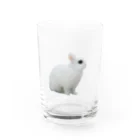 はるさめ商店のよこむきはるさめちゃん Water Glass :front