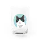 ひげ猫マリオのハチワレ猫山さん2 Water Glass :front