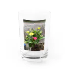 ばにーすぺーの明るい月見草Verミックス Water Glass :front