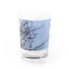 pomwoの飛行機好きなあなたへ Water Glass :front