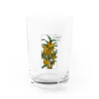 minori の金木犀のグラス Water Glass :front