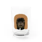 cosajisalutのPIRIKA Water Glass :front