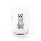 七箱のおキャット様 Water Glass :front