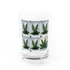 weneedweed1988@(日本人)大麻取締法に挑む。のWe need peace.  Water Glass :front