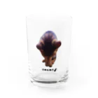 うさミミっミ(無駄に元気)のごめんねこ Water Glass :front