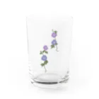 mizukinokoの朝顔のグラス Water Glass :front