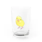 まめるりはことりの可愛いセキセイインコのパームちゃん Water Glass :front